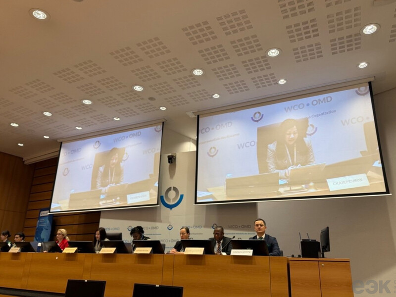 ЕЭК укрепляет сотрудничество с Постоянным техническим комитетом Всемирной таможенной организации